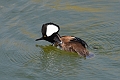 04 05 16_5363_edited-1